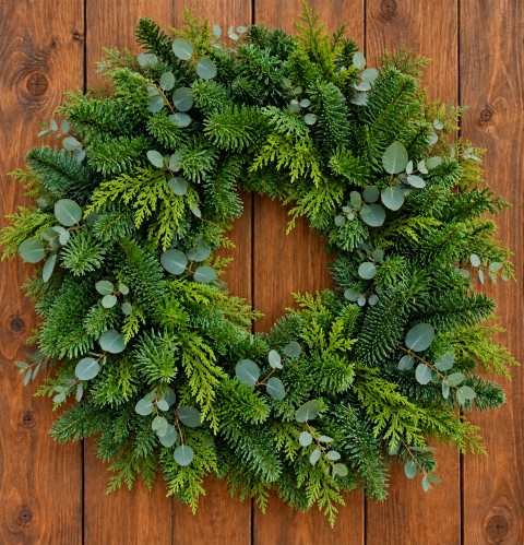 24 inch noble + cupress + eucco clamp wreath
